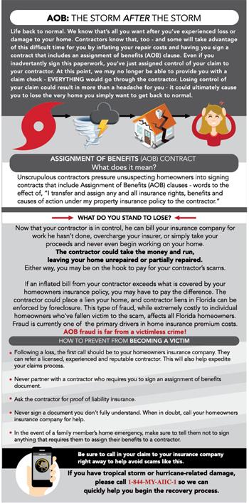 CAT INSERT_Infographic